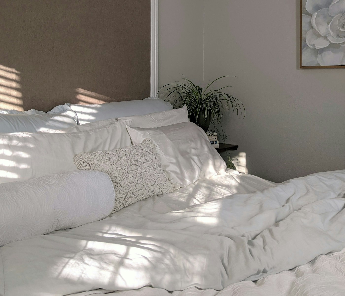 literie coton bio